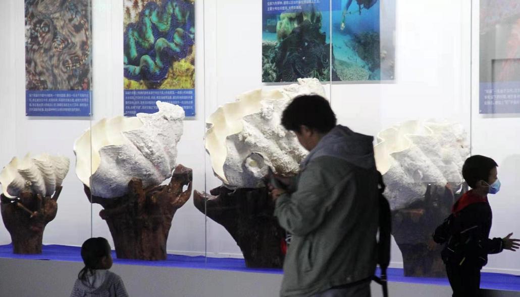 秦皇岛开启新征程，最新政策引领，自信成就未来发展之路