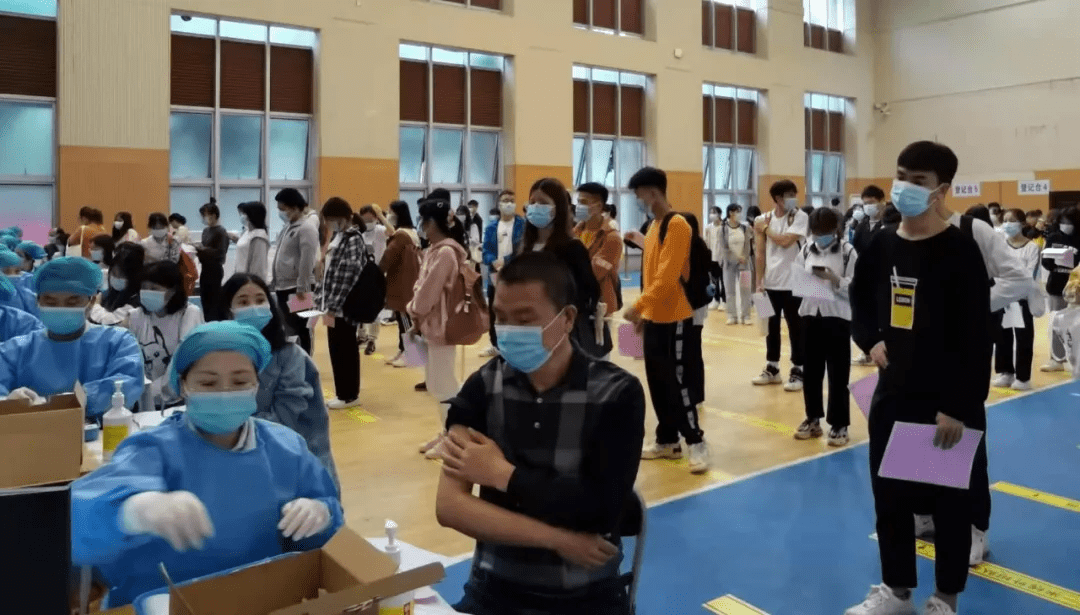 陈才强夏日友情画卷，最新日常故事与温馨乐事回顾