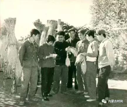 呼市人才市场最新招聘，迎接新挑战，成长中展现自信与成就感！