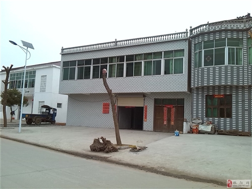 枞阳陈瑶湖镇探索自然美景之旅，追寻内心平静的最新动态