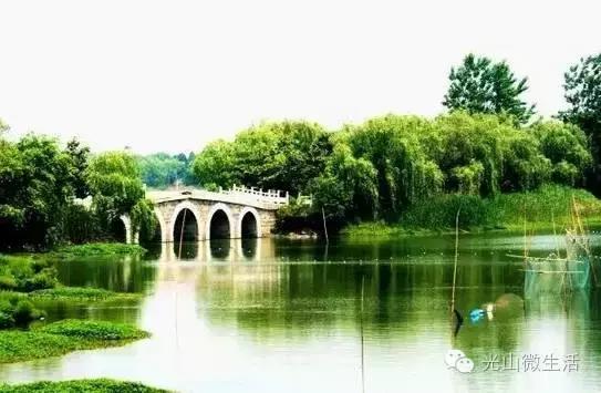 光山湿地公园新篇章，科技与自然共舞，体验未来湿地新魅力
