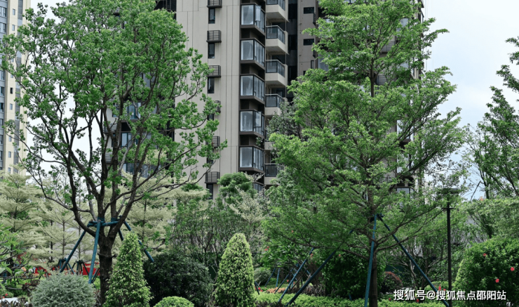 章丘鑫泉花苑最新价格及市场走势分析，正反观点与个人立场探讨