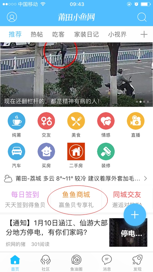 莆田大鱼网最新动态及观点聚焦