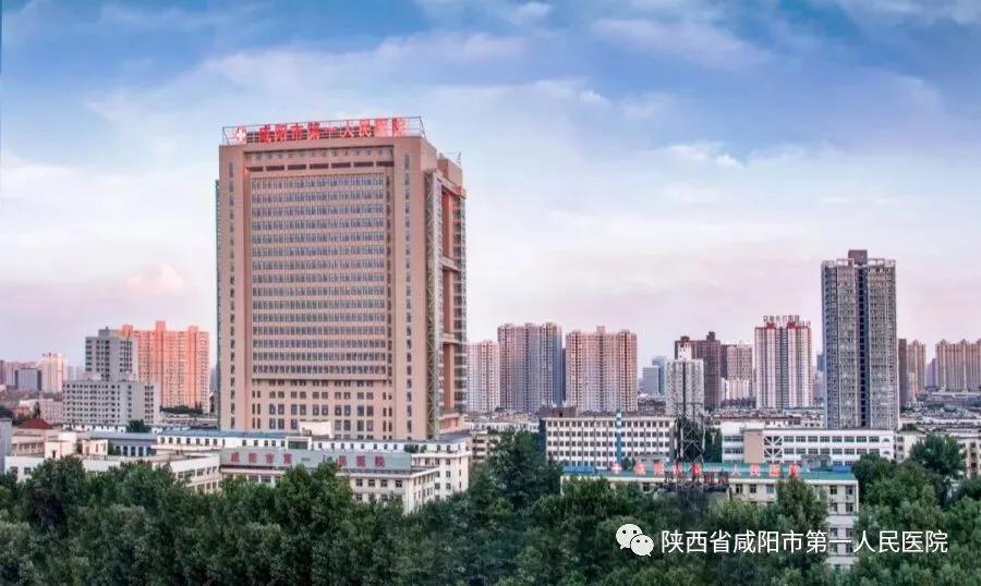 咸阳最新招聘信息揭秘，小巷中的职业宝藏等你来探索！